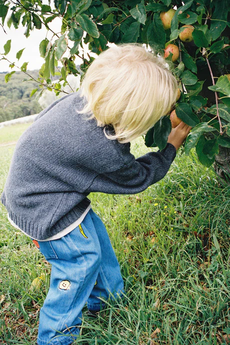 Organic Fruit Salad Denim Pants - Image 2