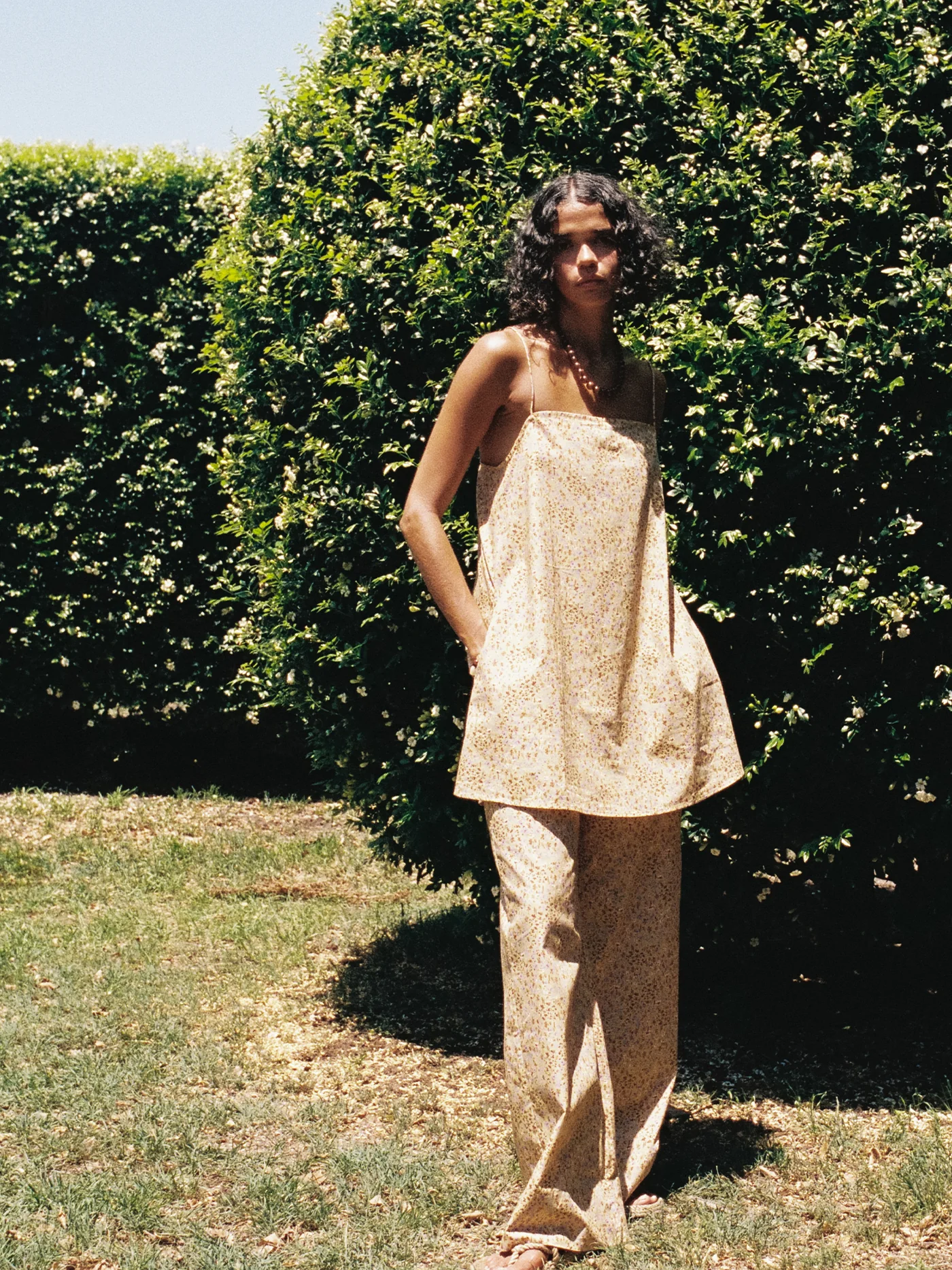 Tully Pants - Meadow - Image 4